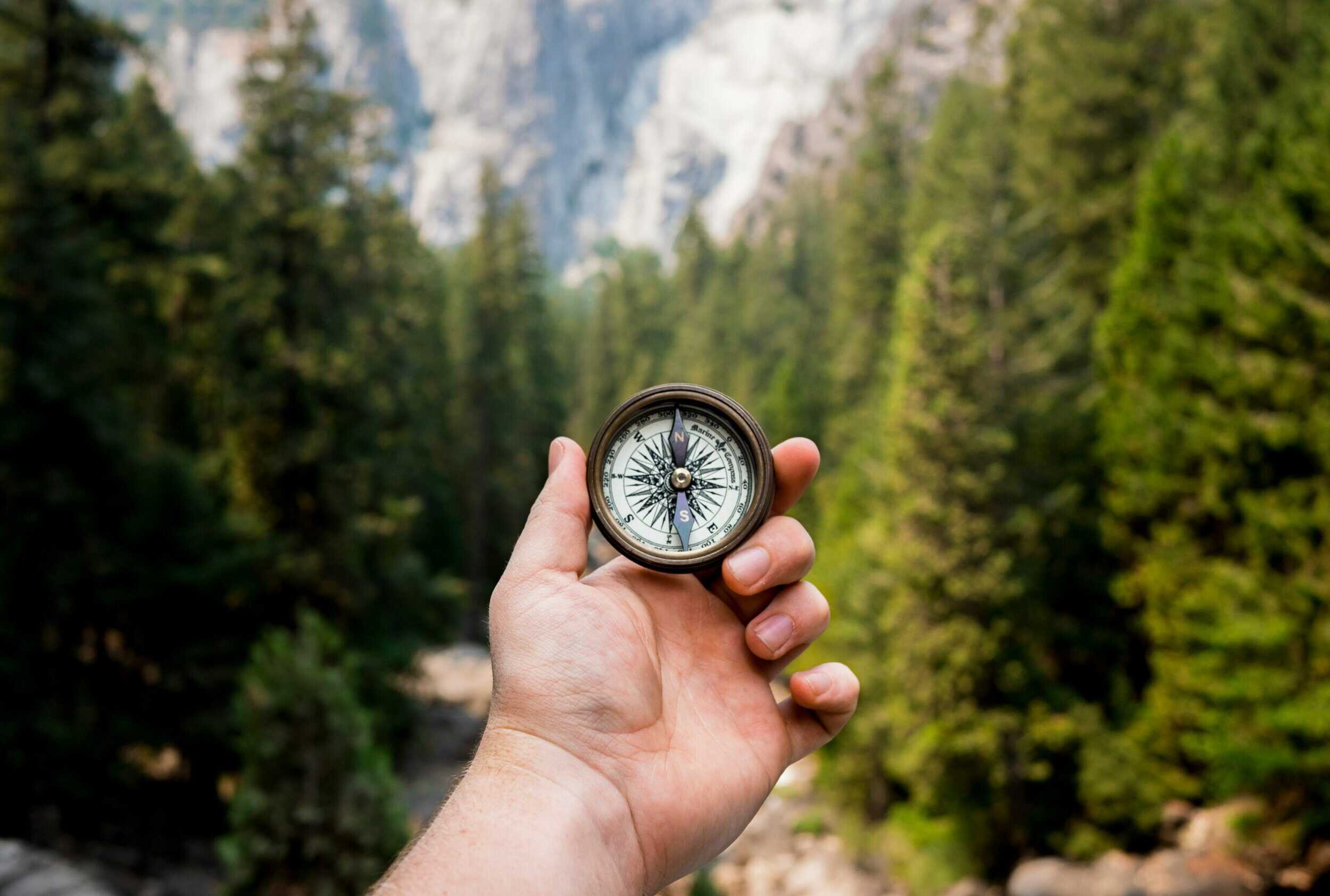 5 year vision